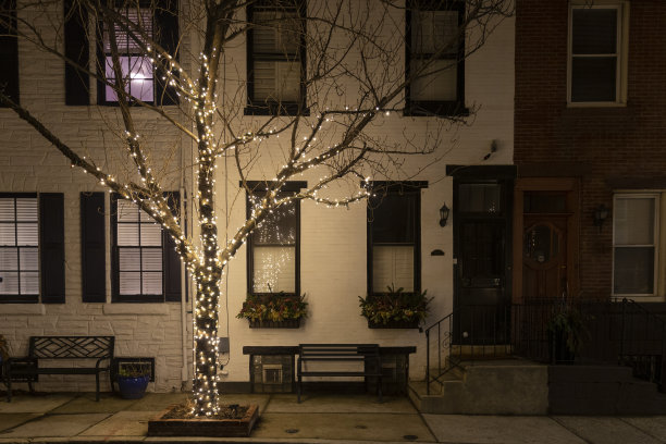 圣诞树上的圣诞灯光装饰，在晚上的房子前图片下载