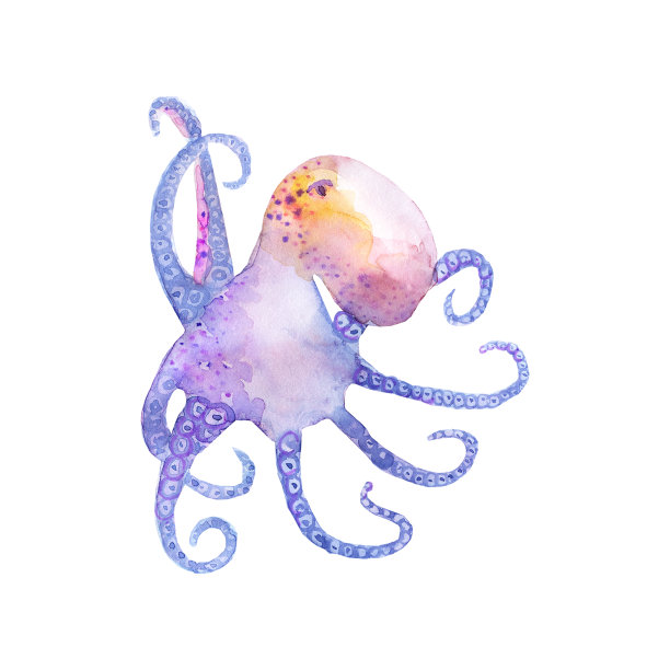 水彩章鱼图片下载