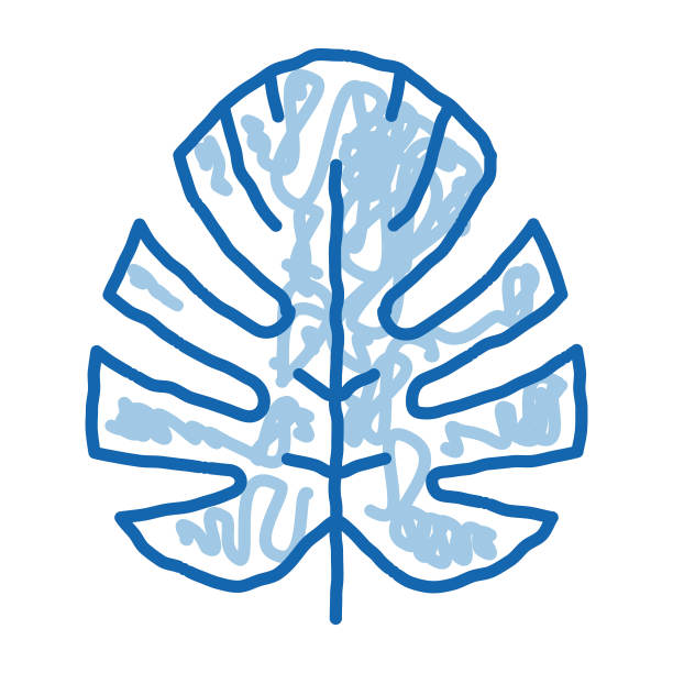 植物叶子涂鸦图标手绘插图图片下载