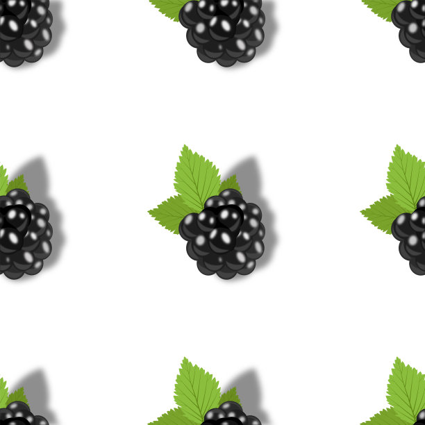 创意无缝黑莓背景在现代风格。孤立的插图。图片下载