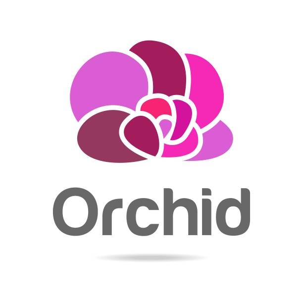 抽象向量标志的石材与兰花标志。图标健康和水疗。创意极简主义手绘插画健康，水疗，泰式按摩。设计模板标志与符号天然石材。图片下载