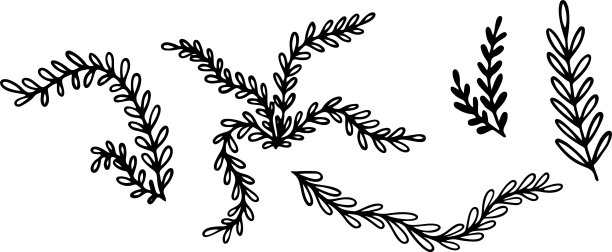 热带草叶风格化图片下载