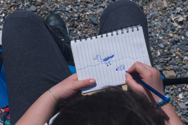 孩子画海鸥。图片下载