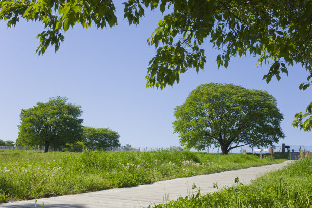 绿园路图片下载