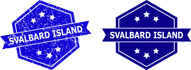 六边形斯瓦尔巴特岛海豹与grunged风格图片下载