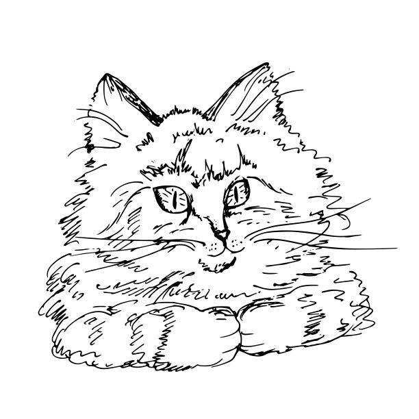 猫。素描，矢量线描。图片下载