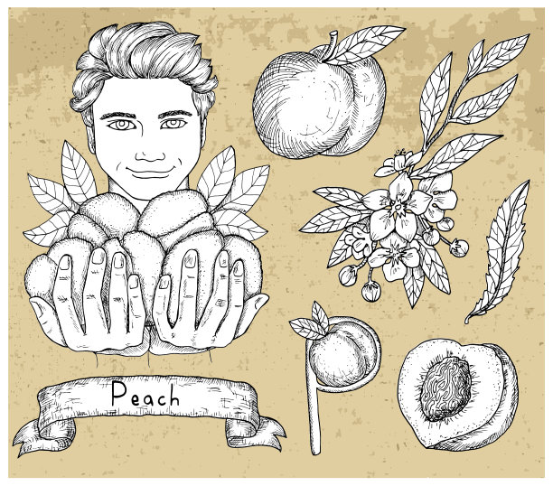 设计集帅哥抱桃图片下载