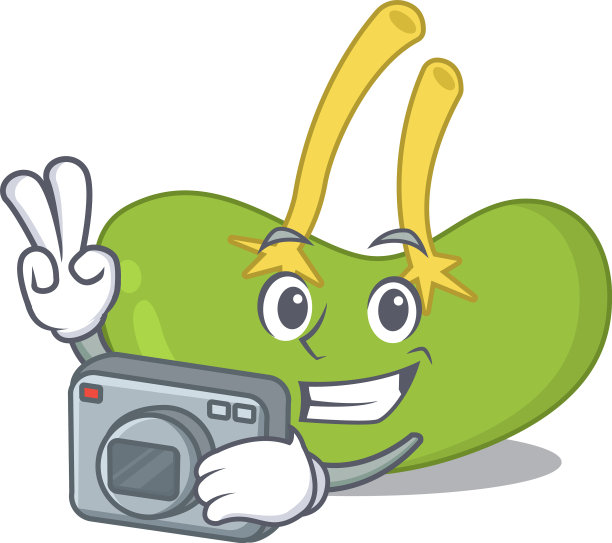 一位专业摄影师脾脏卡通图片下载