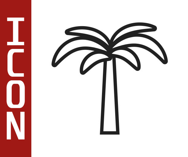 黑线热带棕榈树图标孤立在白色的背景。椰子棕榈树。向量图片下载