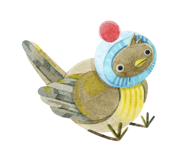 一只麻雀戴着带红色绒球的蓝色针织帽。手绘水彩插图的一只鸟在一个白色的背景。贺卡，博客，印刷品，冬季假期(新年，圣诞快乐)的设计。图片下载