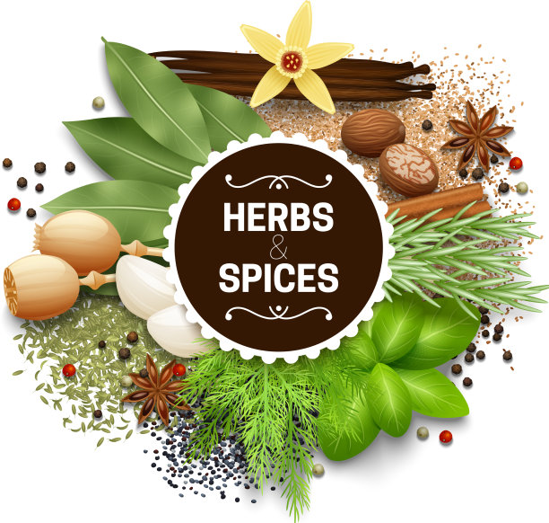 配上香草和香料图片下载