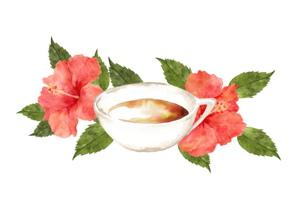 芙蓉花茶图片下载