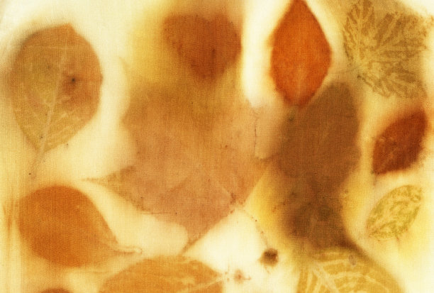 植物打印图片下载