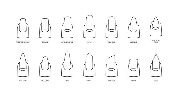 指甲形状用黑线标注，矢量插图孤立。图片下载