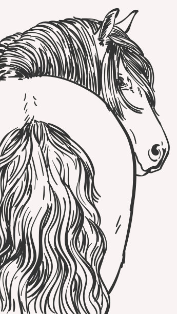 肖像马与长鬃毛和尾巴的观点图片下载