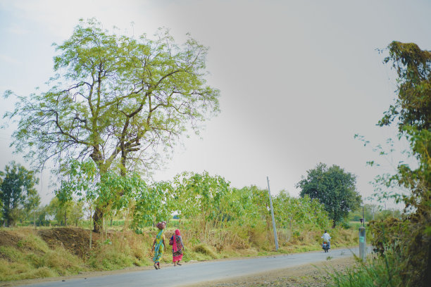 可怜的印度农民在路上图片下载