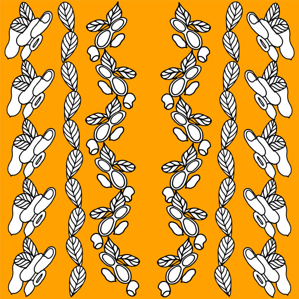 花生花生叶图片下载