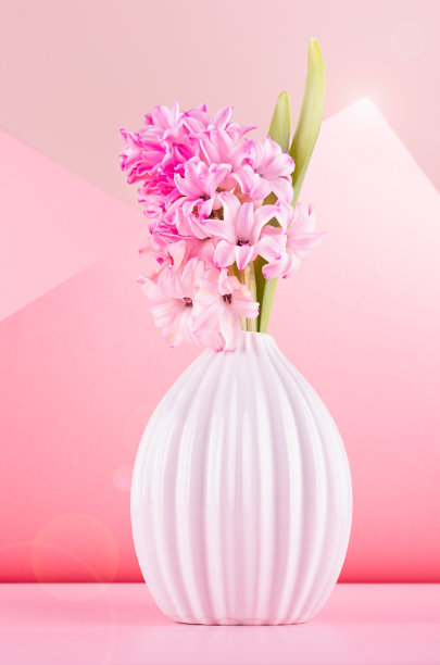 轻盈柔和的光线，精致的粉红色风信子花在花瓶与阳光，太阳耀光在粉彩背景，浪漫的春天背景，垂直。图片下载