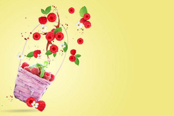 悬钩子悬在黄色的背景上。有选择性的重点。树莓的背景。图片下载