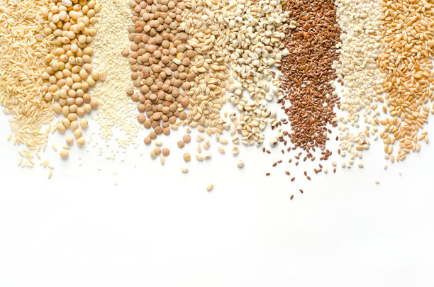 收集干有机白色和棕色谷物和谷物种子条纹白色背景，为健康或清洁的食品成分概念图片下载