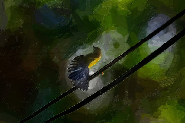 橄榄色背太阳鸟，黄腹太阳鸟(颈颈太阳鸟)在树枝上。图像油漆。图片下载