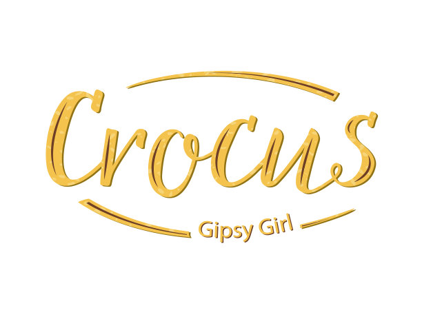 藏红花吉卜赛女孩手写的黄色字母图片下载