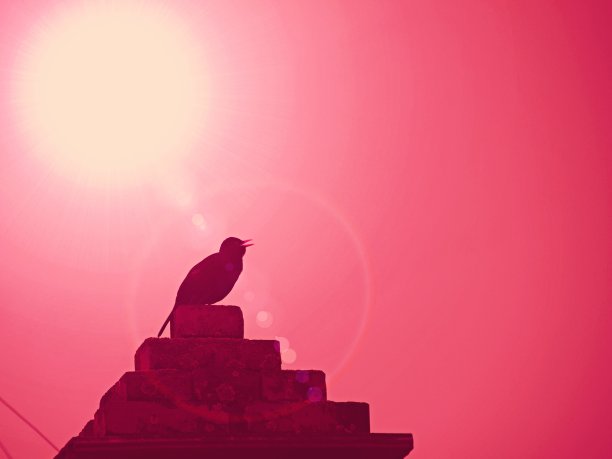 天启的概念图片下载