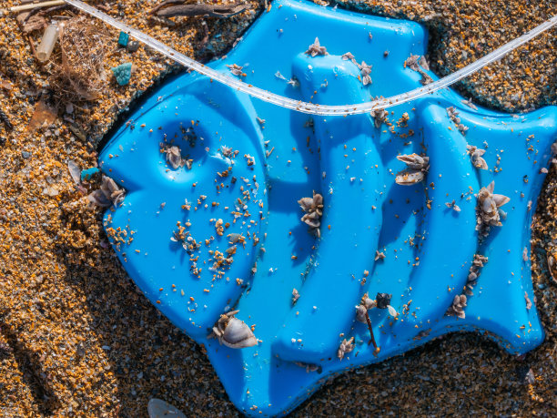 塑料鱼和海滩上的微型塑料图片下载