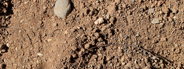 花园中的近距离土壤纹理背景图片下载