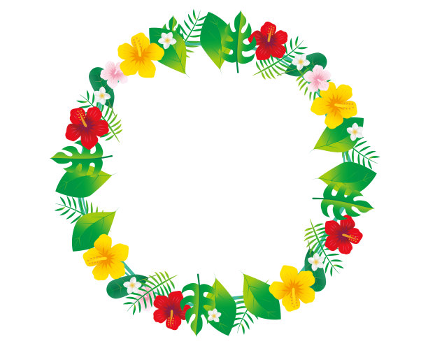 热带热带植物木槿图片下载