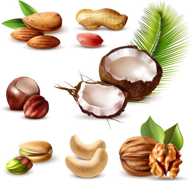 坚果现实的设置图片下载