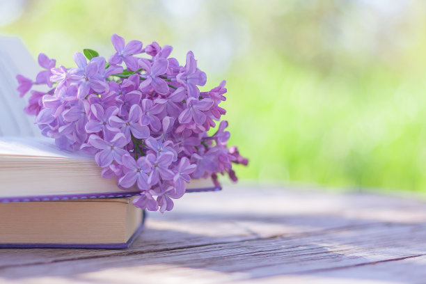 桌上一本打开的书上放着盛开的紫丁香图片下载