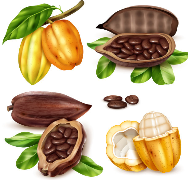 逼真的可可图标集图片下载