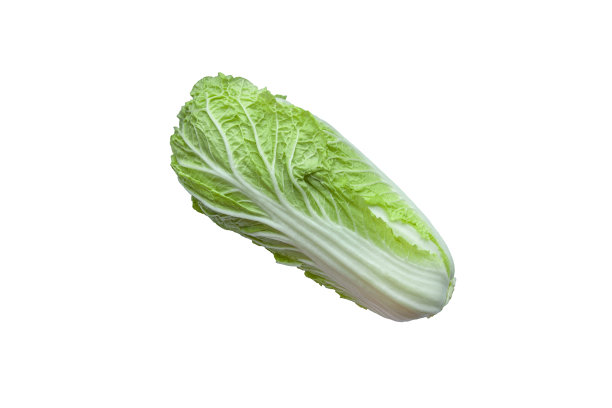 白底孤立的大白菜图片下载
