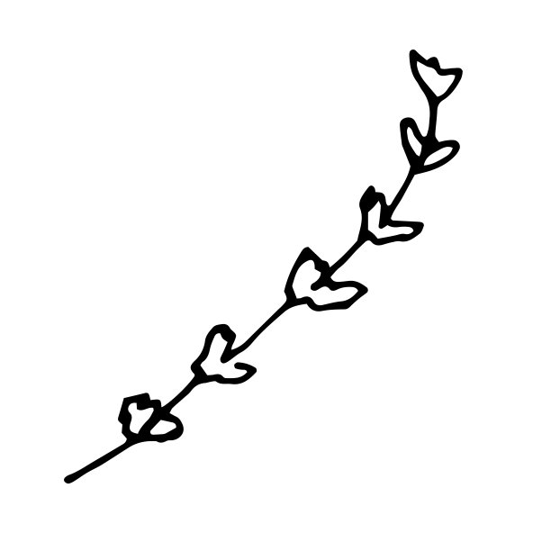 向量分支。明信片和请柬的插图。图纸打印。涂鸦图片下载