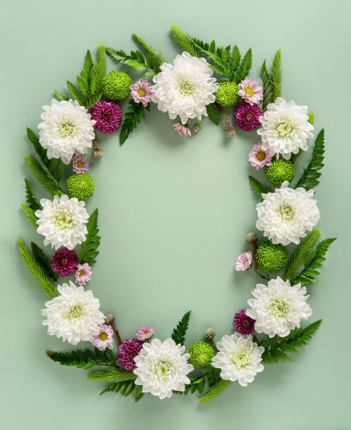 框架由彩色的花朵菊花孤立在柔和的绿色背景。花组成。夏日的菊花花环。图片下载