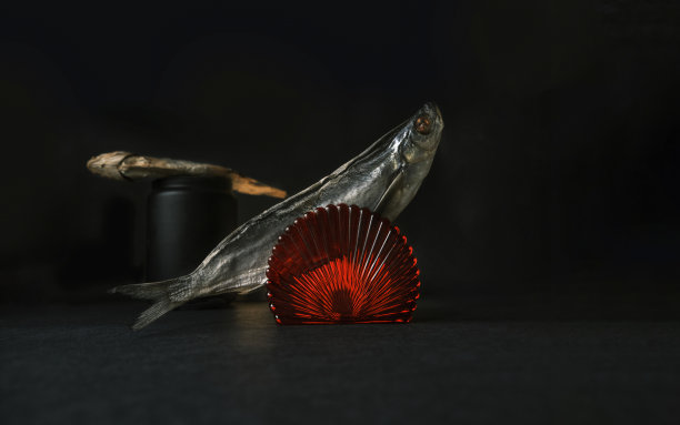 有两条干鱼的暗色调静物图片下载