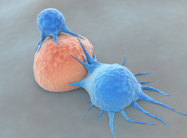 t细胞攻击癌细胞图片下载