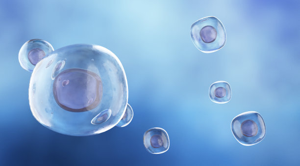 人类干细胞图片下载