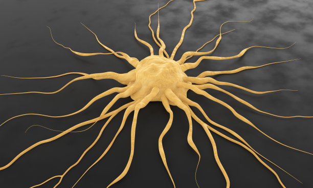 人类癌症细胞图片下载