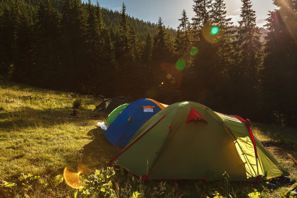 游客们在山中森林附近的绿色草地上搭帐篷图片下载