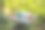 年轻女子躺在丛林的床上。与自然的亲密关系图片下载