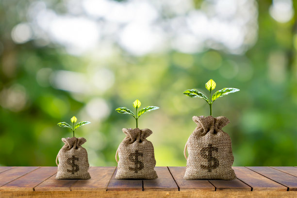 植物生长在一个钱包挂在木桌和早晨的太阳与商业投资的想法和金融增长。图片下载