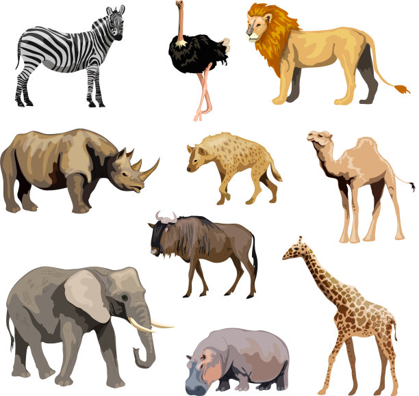 非洲野生动物集图片下载