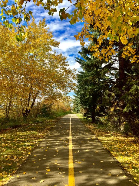 在公园里图片下载