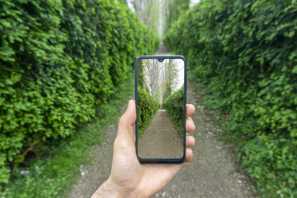 用智能手机拍摄一张以自然、绿色植物和公园道路为背景的照片。摄影，互联网和网络旅游的概念图片下载