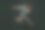 年轻的白人男子打网球孤立的黑人工作室背景在复古风格，动作和运动的概念图片下载