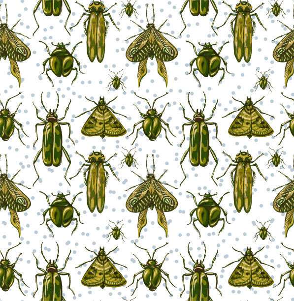 背景有各种各样的昆虫。图片下载