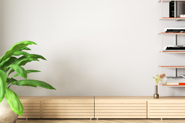 现代客厅的白墙模拟。图片下载