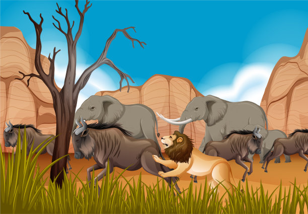 群野生非洲动物在森林场景图片下载